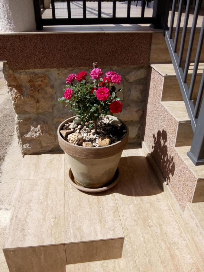 סטאריגרד-פקלניצה Apartment Plitvice מראה חיצוני תמונה